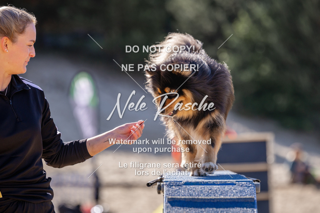NR__0630 | nelerasche