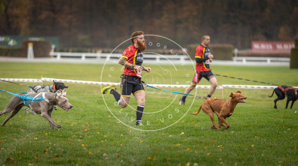 CaniXpix_DV3A9504 | Hundefotografie, Tierfotograf, Pfotenfotografie, Fotoshooting Hund, Hunde Portrait, Hundesport, Hundeportraits, Heideshooting, Hunde, Sportfotograf, Hundefotograf, Turnierhundsport, THS,  - Realisiert mit Pictrs.com
