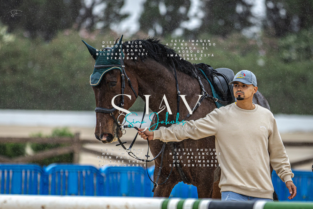 IMG_1615-Verbessert-RR | s-jay-photography - Realisiert mit Pictrs.com