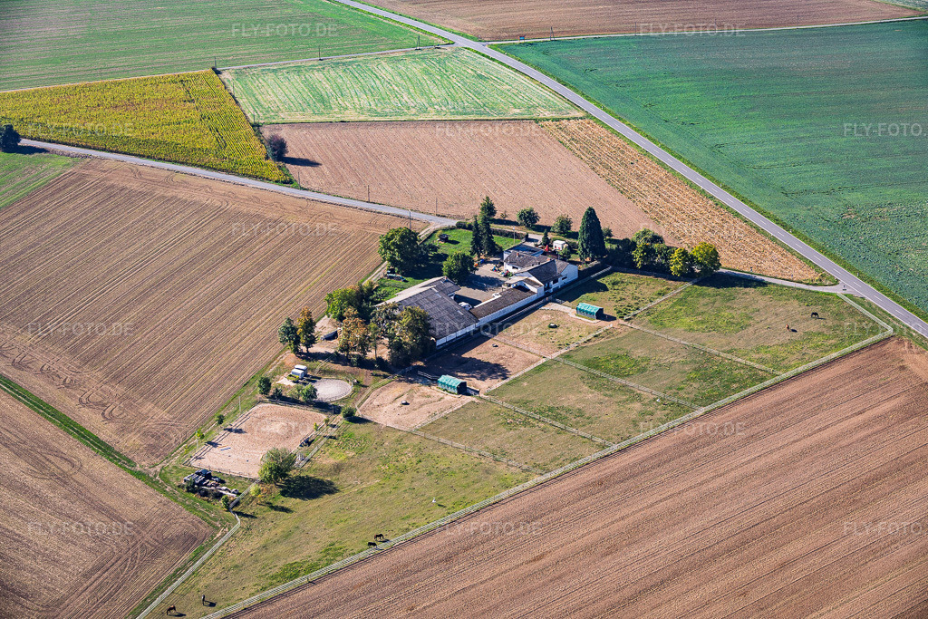 Luftbild: Gaststätte Tannenhof im Ortsteil Richen in Groß-Umstadt im Bundesland Hessen in Deutschland. – Foto: IMG_159110.jpg vom 22.09.2026 durch Werner Riehm/FLY-FOTO.de – Auflösung des Originals: 6000 x 4000 px