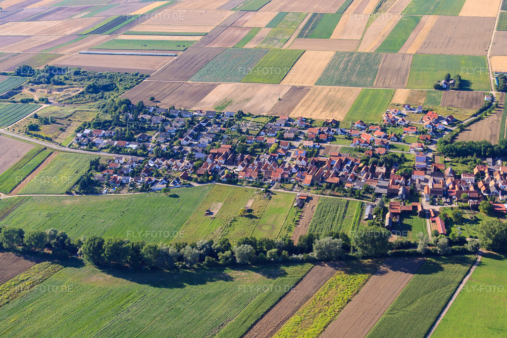 Luftbild: Dorfansicht von Süden in Herxheimweyher im Bundesland Rheinland-Pfalz in Deutschland. Foto: IMG_30776.jpg vom 31.07.2010 durch Werner Riehm/FLY-FOTO.de