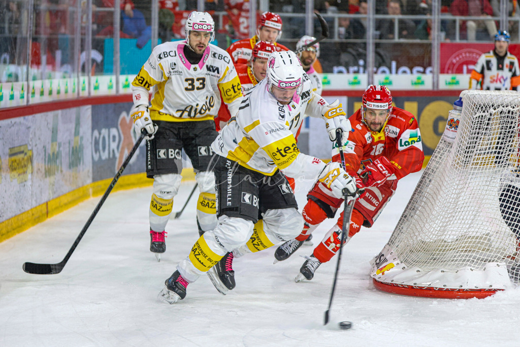 EHCB vs HCA 20260127_wb-9711 | Sportbilder, Sportfotograf, Hochzeits- und Eventfotografin, Flugshows, Portraits und Tiershooting, Aviation, Downhill, Nationalleague, Swissleague, International