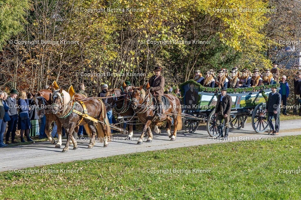 LBT25-698 | foto-bettina-krinner - Realisiert mit Pictrs.com