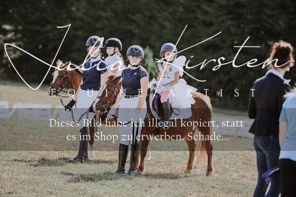 DSC_9193 | Pferde- und Turnierfotografie in Westsachsen. Pferdeportraits, Auftragszeichnungen und intuitive Kunst.