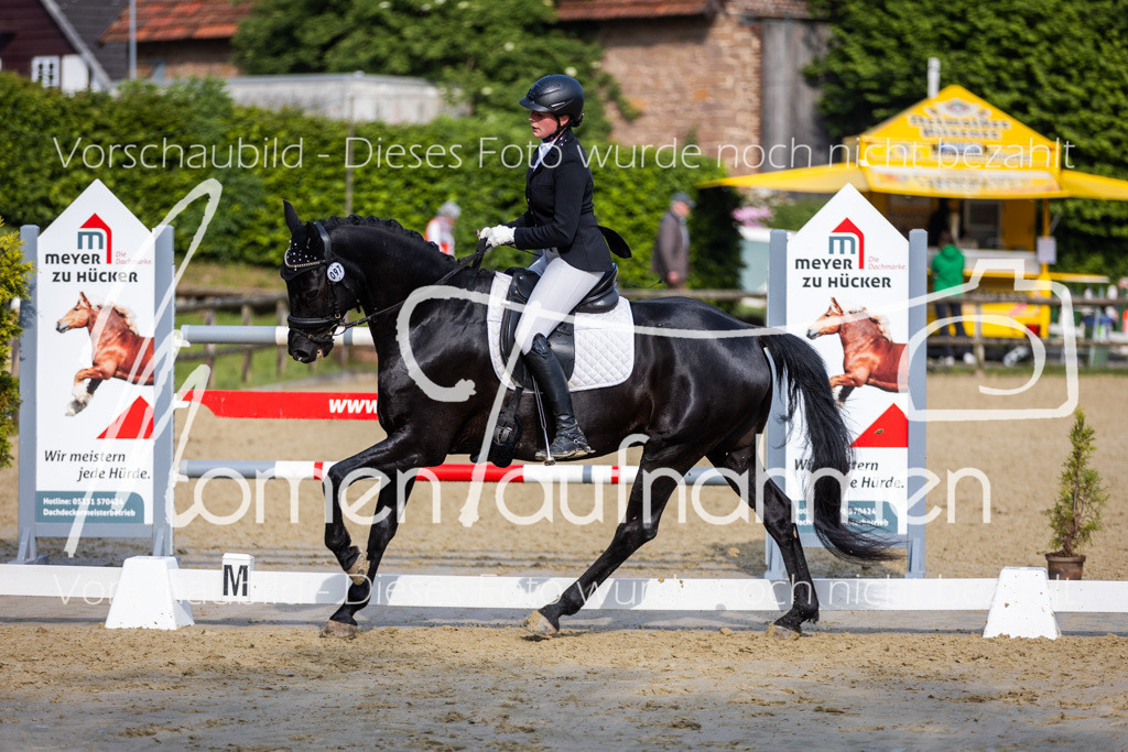 Donop24-A-Dre-094 | MomenTaufnahmen Pferdesportfotos