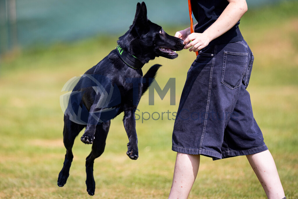 TP-20240815-0155 | Copyright: Trainproduction / Matthias Trinkl