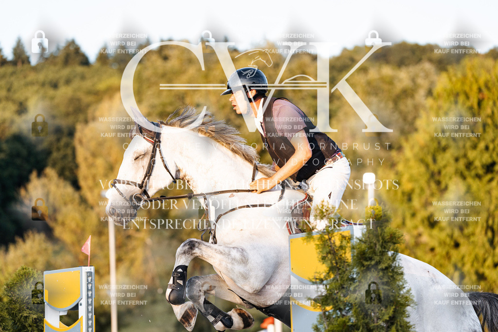 CK901126 | Turnierfotografie Pferdefotografie Trier Rheinland-Pfalz Pferdesport Reitsport Tierfotografie Sportfotografie Pferdevideo Pferdevideografie Equestrianvideography equestrianphotography  - Realisiert mit Pictrs.com