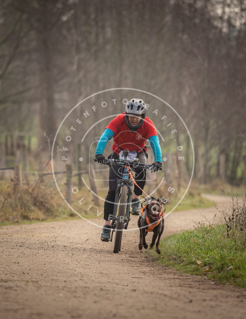 Pfotenfotografie_DV3A1854 | Hundefotografie, Tierfotograf, Pfotenfotografie, Fotoshooting Hund, Hunde Portrait, Hundesport, Hundeportraits, Heideshooting, Hunde, Sportfotograf, Hundefotograf, Turnierhundsport, THS,  - Realisiert mit Pictrs.com