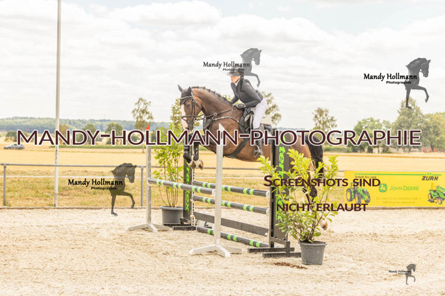 26-7-23 SPR A++-157 | mandyhollmannphotographie