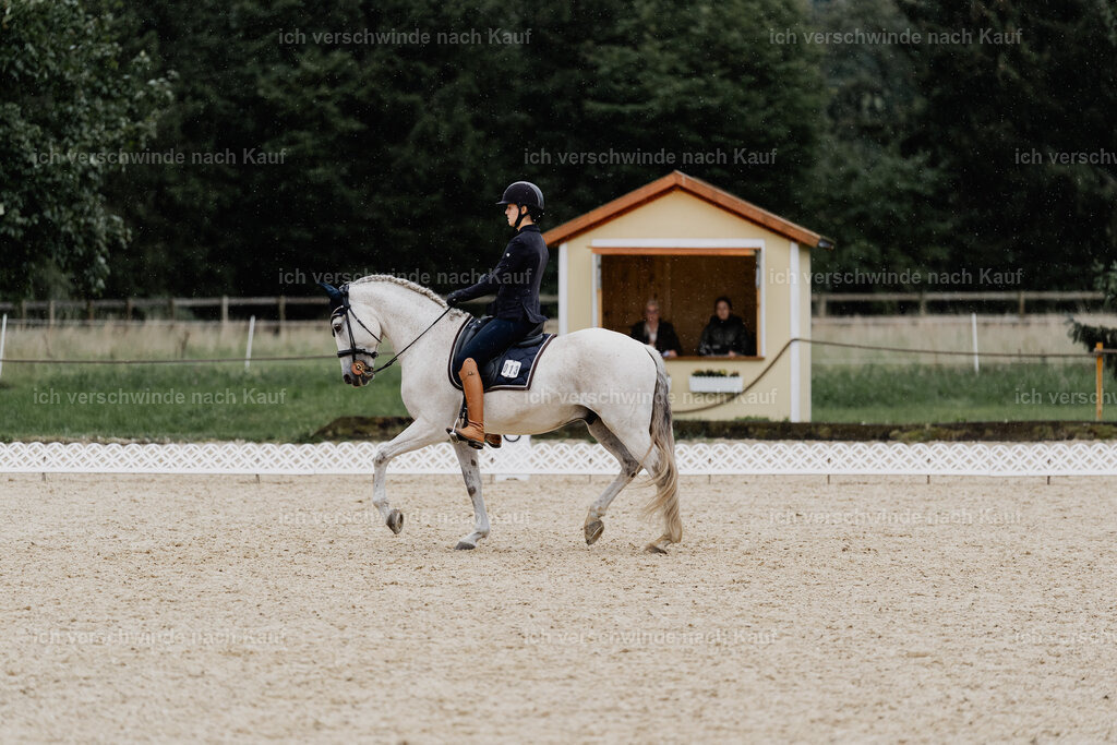 Svea13FHC2025-8392 | working equitationturnier fotograf videograf stoibphotography marixx film working equitation deutschland reitsport turnierfotografie eventfotografie equestrian events