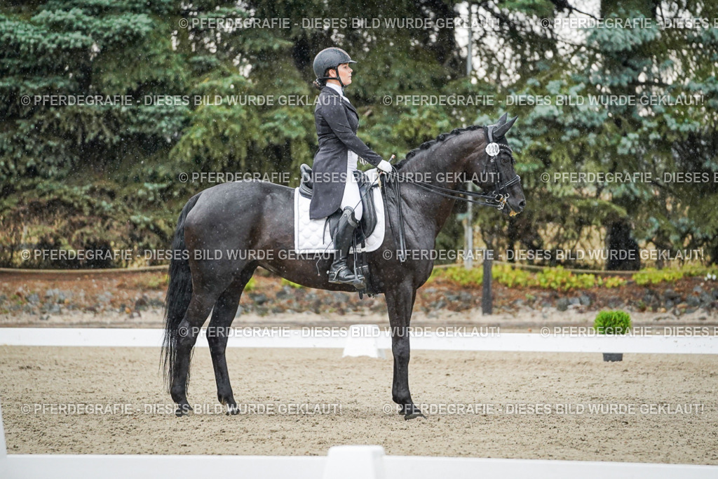 DSC08272 | Pferdegrafie