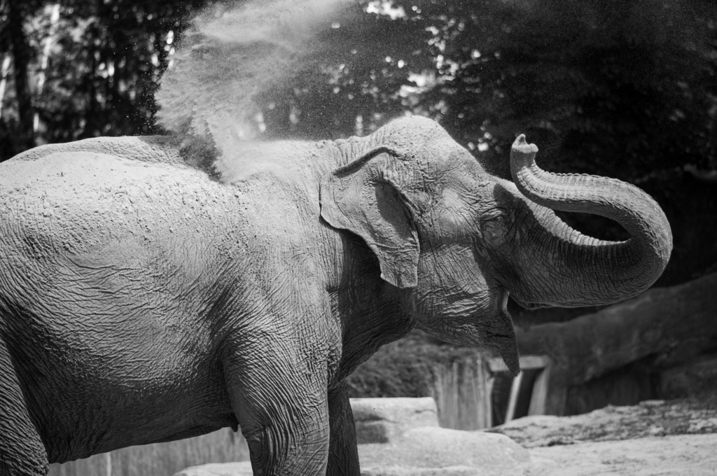 DSC_0707 | kaefersammler_roy - Realisiert mit Pictrs.com