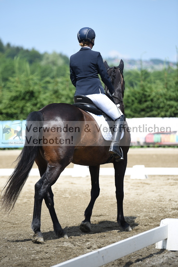 DSC_8924 | equestrian-live-com