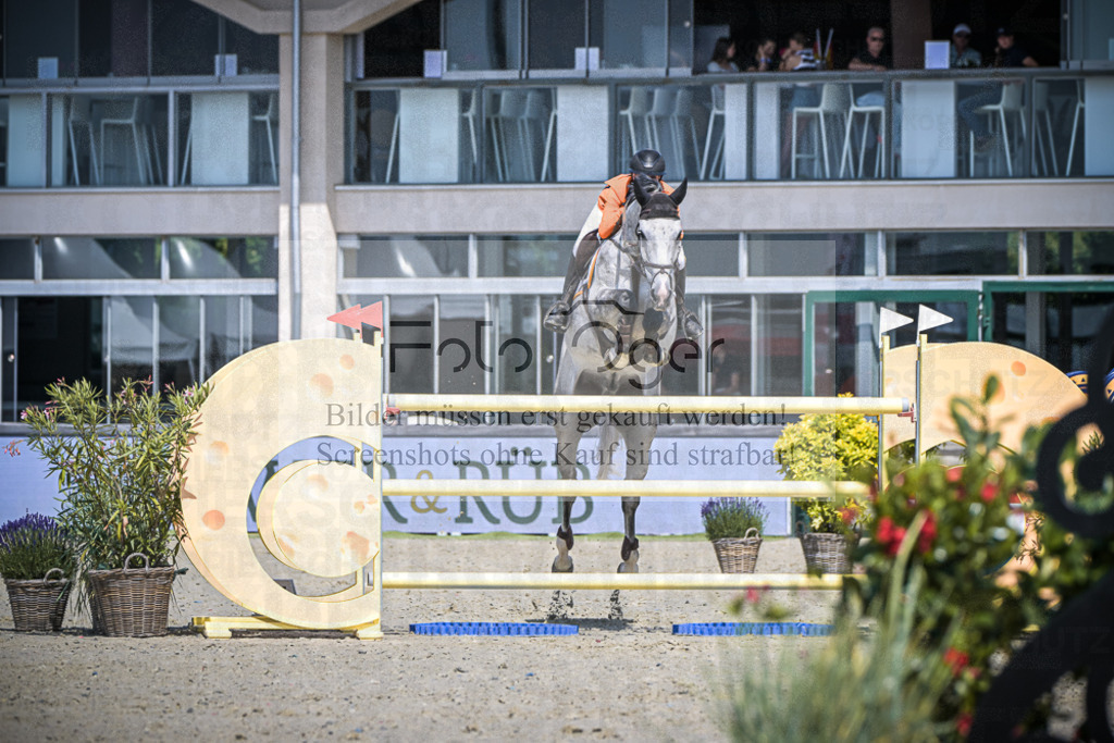DOS_6029 | Entdecke hochwertige Reitturnierfotos von Foto Oger. Professionell, emotional und authentisch – jetzt Lieblingsmomente im Shop bestellen.Deutschlandweite Turnierfotografie. - Realisiert mit Pictrs.com