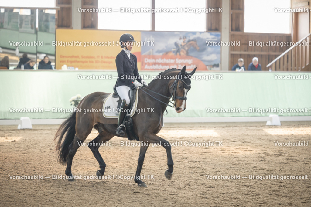 _D5A4255 | Emotionale Pferde- & People-Fotografie rund um Heidelberg, Leimen & Umgebung. Natürliche Fotos von Pferd, Mensch & Familie. Jetzt Termin sichern!