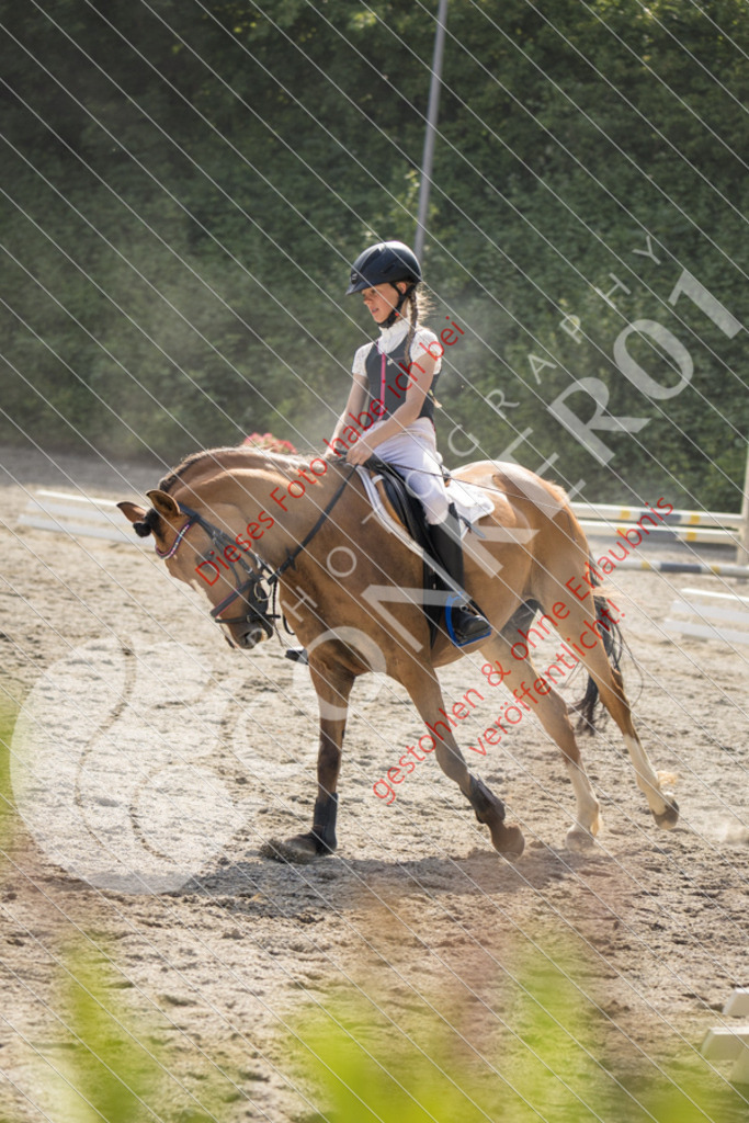 IMG_5834 | Sport-, Event- und Tierfotos in Profiqualität. Einfach auswählen, bestellen und herunterladen. Dein Moment – perfekt festgehalten.