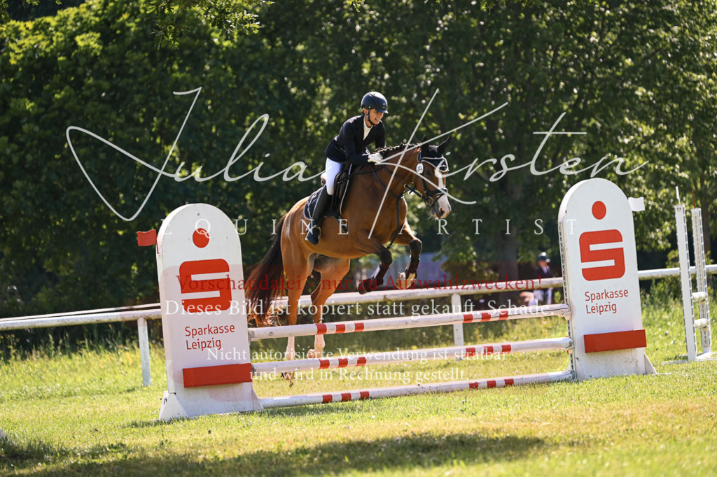 DSC_8711 | Pferde- und Turnierfotografie in Westsachsen. Pferdeportraits, Auftragszeichnungen und intuitive Kunst.