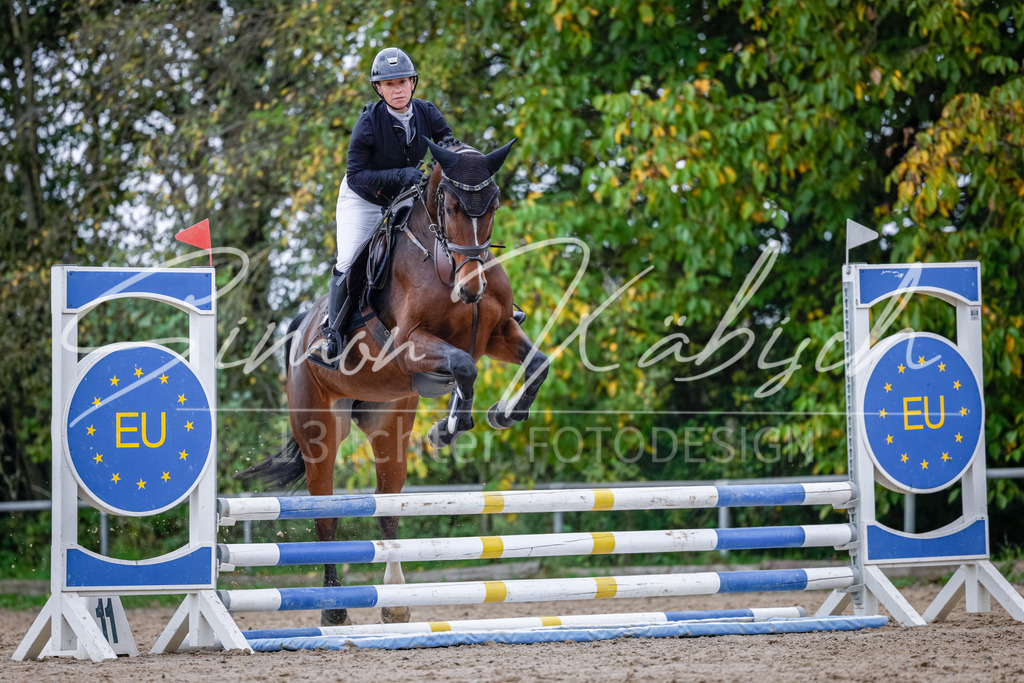 20251012-_3LI3976 | Tierfotografie Pferde, Hunde, Katzen, Haustiere.
Turnierfotografie Reitturniere, Reiten, Springreiten, Dressur in Hanau, dem Main-Kinzig-Kreis und dem Rhein-Main- Gebiet um Frankfurt