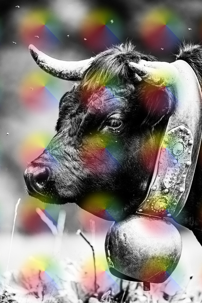 20240815-1M5A9032 | FineArtPrint, Hahnemühle, FeeGalerie, Fee Galerie, Fotokunst, Fotografie, Canonphotography, Bergfoto, Matterhorn, Rimpfischhorn, Allalinhorn, Saas-Fee, Wallis, Valais, Switzerland, Bergfotografie