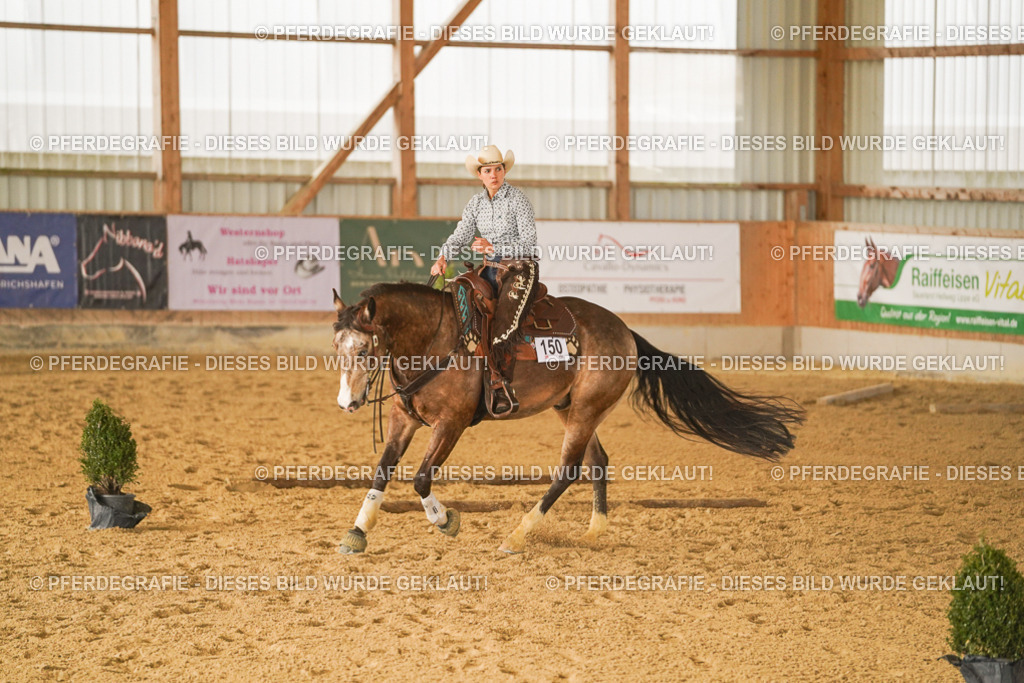 DSC02744 | Pferdegrafie