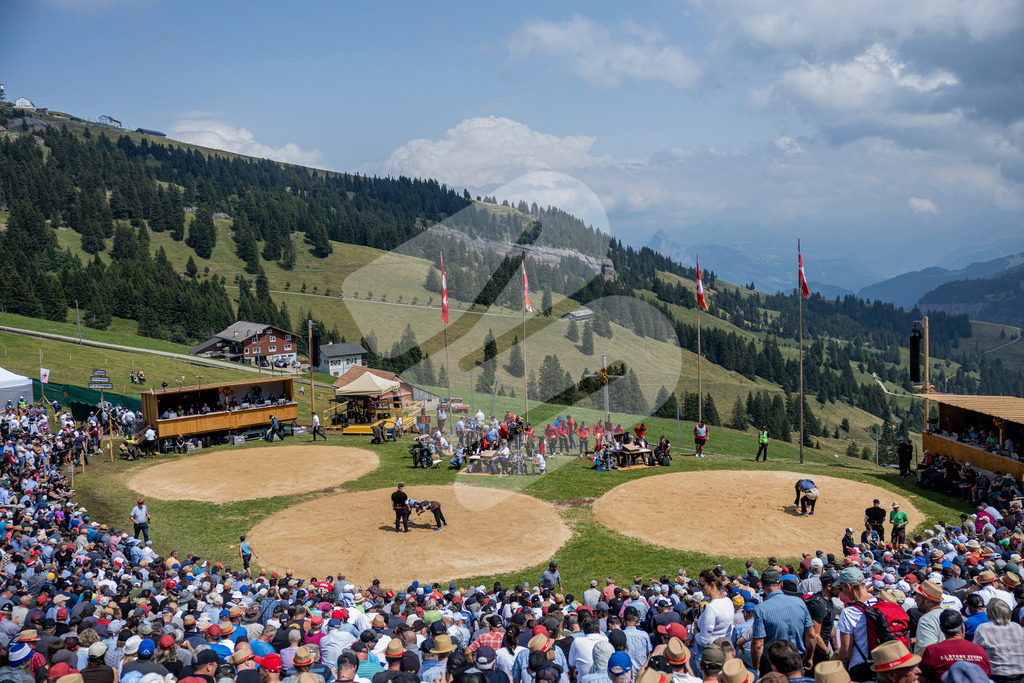 Rigi2026_5G_00029 | Arena - Realisiert mit Pictrs.com