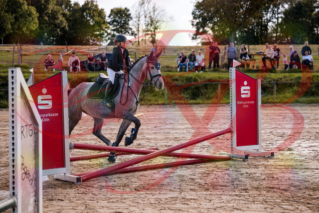 2026_10_03_Siefer-Hof_145054_Z81_29064983 | Professionelle Reitsport-, Turnier- und Eventfotografie von Robert Broda. Galerien mit ausgewählten und bearbeiteten Bildern direkt online ansehen und bestellen.
