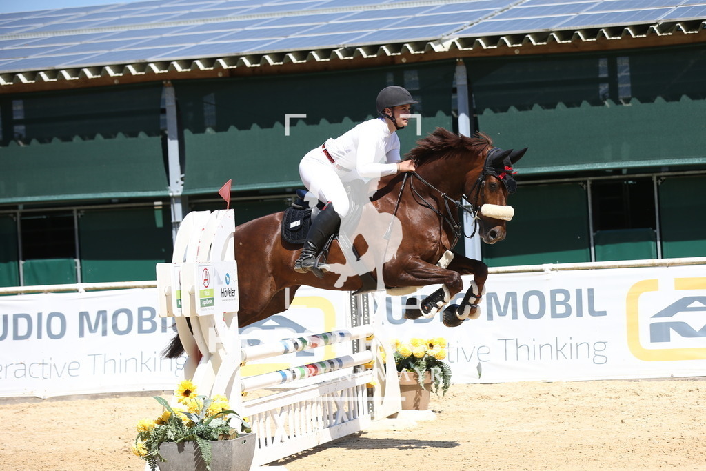 DL2Q8900 | Willkommen bei Brunnmayr - Design & Fotografie – Ihrem Spezialisten für Reitturniere und Pferdeveranstaltungen in Oberösterreich, Salzburg und Bayern! Seit über 17 Jahren sind wir leidenschaftlich dabei.