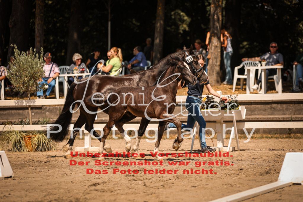 04.DoWP00085 | Leoni Ertmer Photography - Realisiert mit Pictrs.com