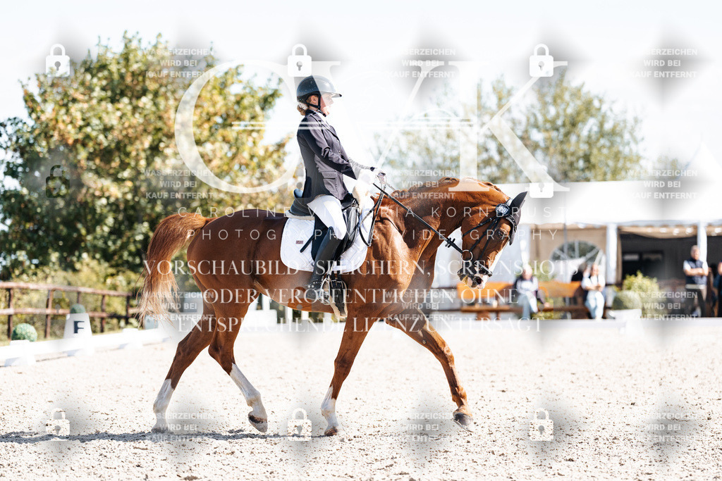 CK902827 | Turnierfotografie Pferdefotografie Trier Rheinland-Pfalz Pferdesport Reitsport Tierfotografie Sportfotografie Pferdevideo Pferdevideografie Equestrianvideography equestrianphotography  - Realisiert mit Pictrs.com