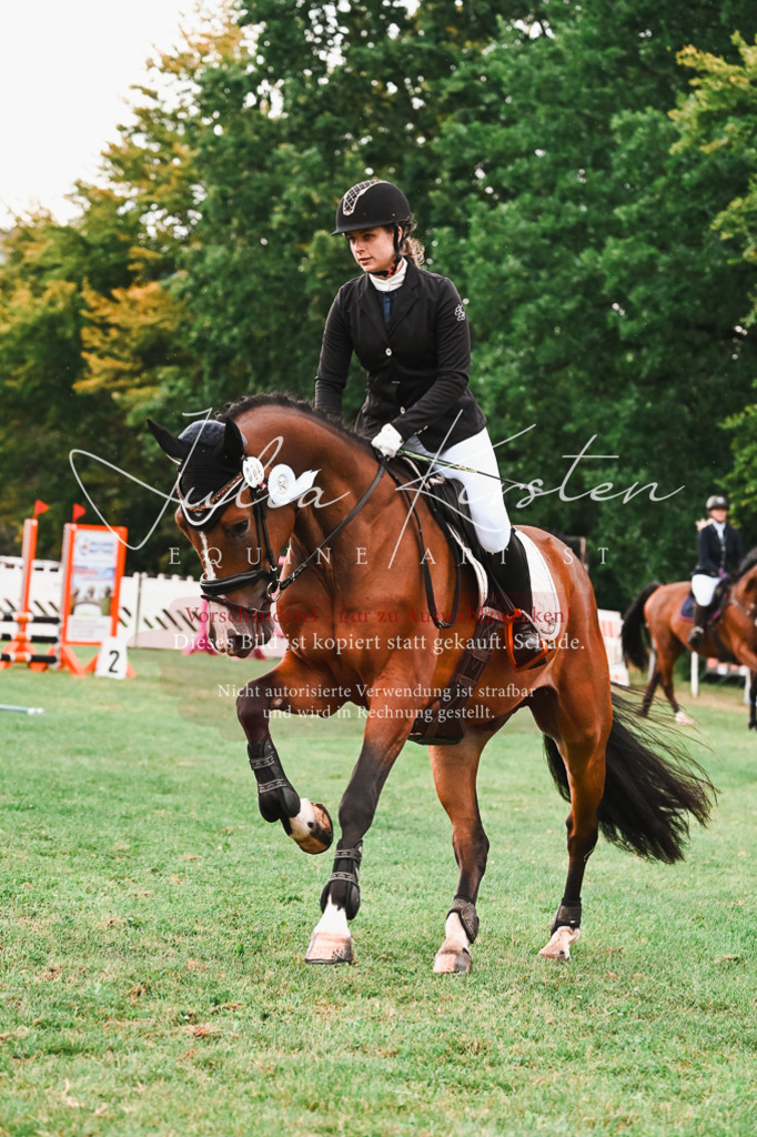 DSC_6709 | Pferde- und Turnierfotografie in Westsachsen. Pferdeportraits, Auftragszeichnungen und intuitive Kunst.