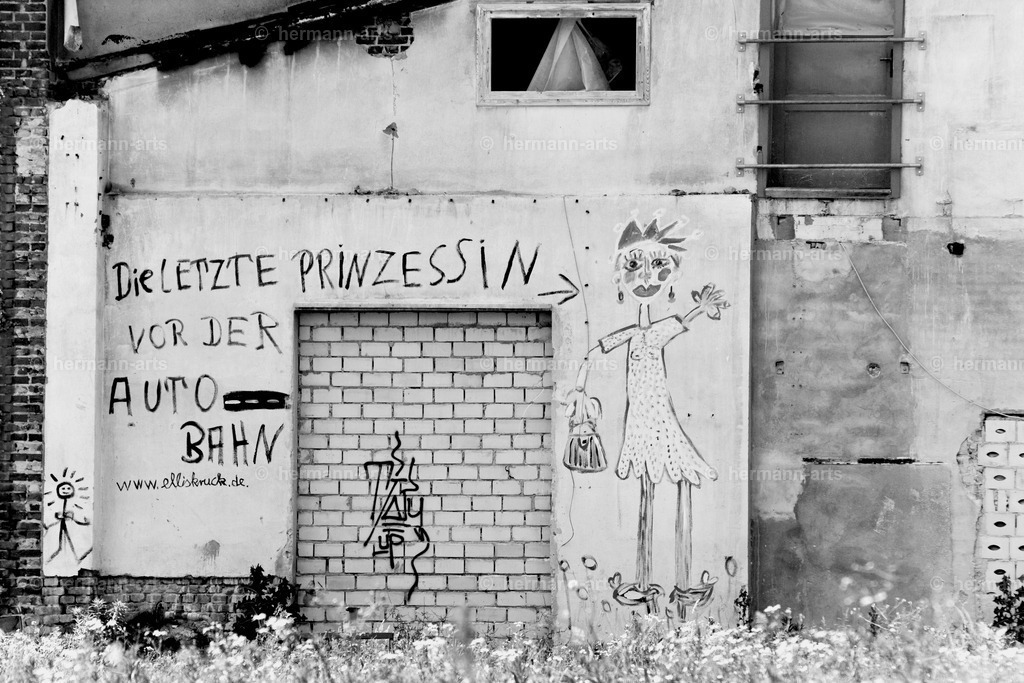 Street-Art-008 | Photo Foto Kunst Art schwarzweiss Bilder Rheine Münster Berlin Blumen 