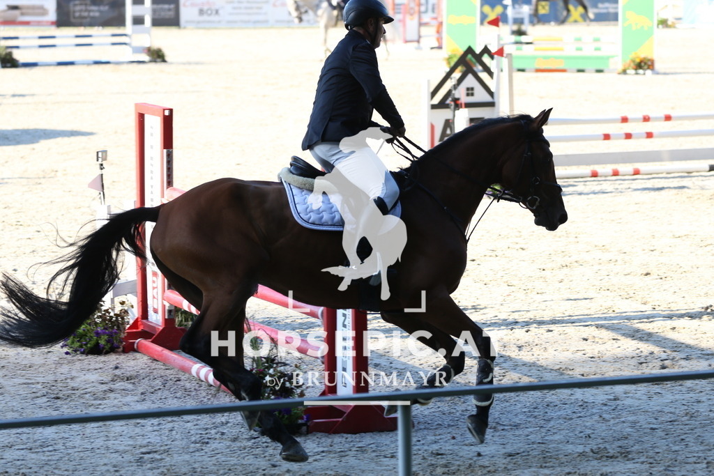 PP012948 | Willkommen bei Brunnmayr - Design & Fotografie – Ihrem Spezialisten für Reitturniere und Pferdeveranstaltungen in Oberösterreich, Salzburg und Bayern! Seit über 17 Jahren sind wir leidenschaftlich dabei.