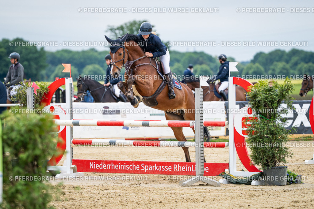 DSC04780 | Pferdegrafie