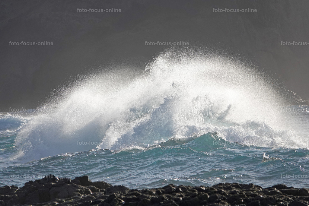 waves | foto-focus-online