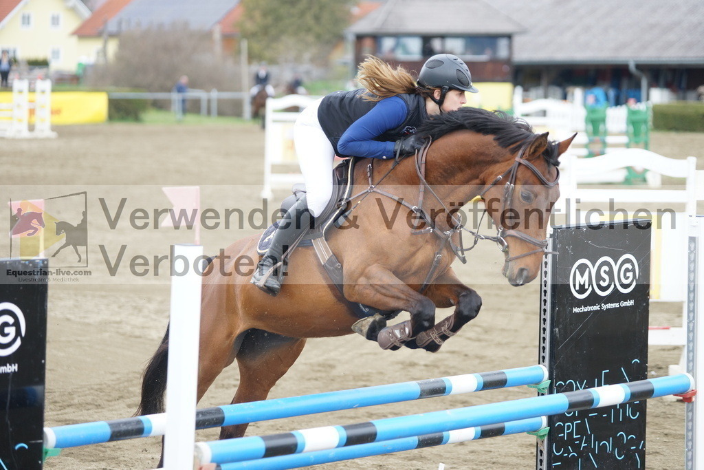 DSC01117 | equestrian-live-com