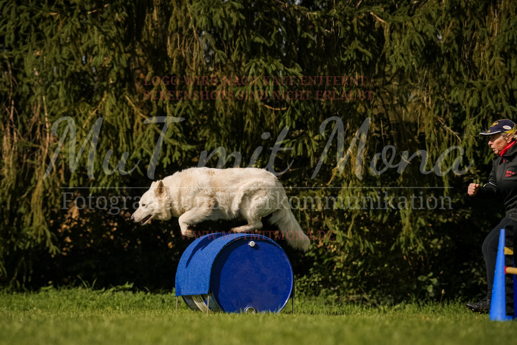 20251005_THS_Turnier-756 | MuT (Mensch und Tier) mit Mona - Fotografie und Tierkommunikation - Realisiert mit Pictrs.com