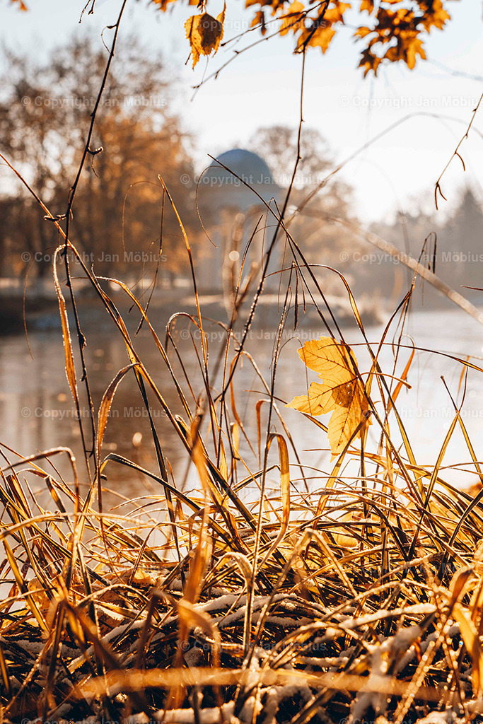 _DSC5197 | Leipzig Wandbilder Drucke Prints Leinwand Stadtmotive Leipzig Fotosdruck Kunstdrucke Bilder Leipzig Stadtansichten Acrylglasbilder Leipzig Wanddeko Fine Art Prints Wandbilder Büro Leipzig Bilder Praxis Zuhause Bilderdruck Poster Posterlounge Kunstdrucke - Realisiert mit Pictrs.com
