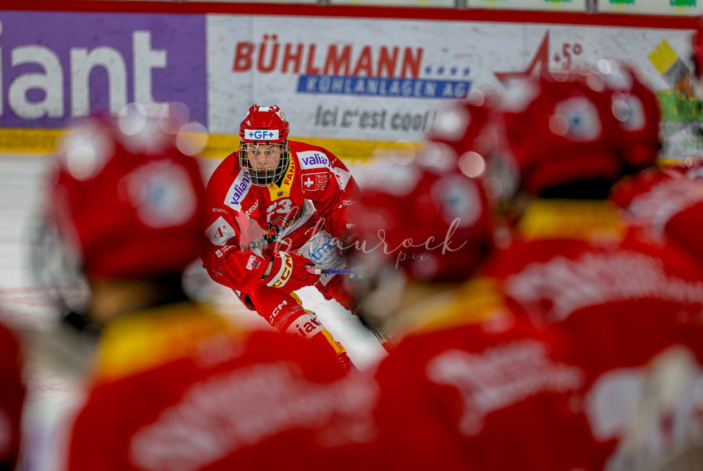 EHCB vs HCD-0840 | Sportbilder, Sportfotograf, Hochzeits- und Eventfotografin, Flugshows, Portraits und Tiershooting, Aviation, Downhill, Nationalleague, Swissleague, International