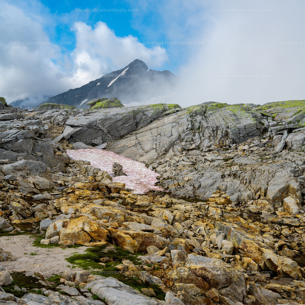 DSC_2595 | invaluablemoments.com - Realisiert mit Pictrs.com