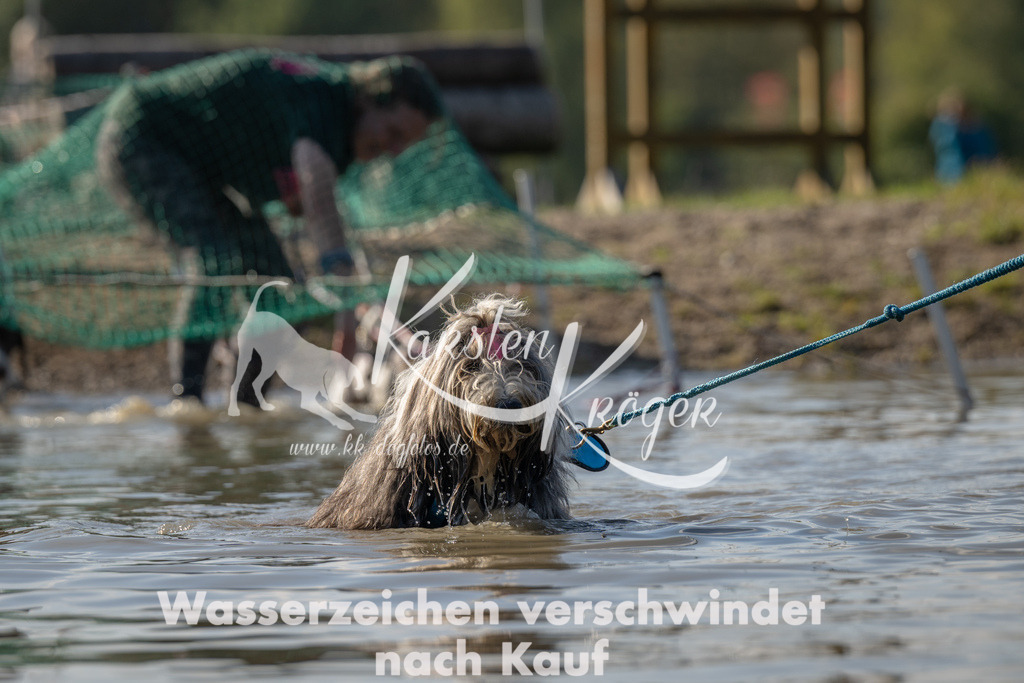 1417_ZZ92153 | kk-dogfotos