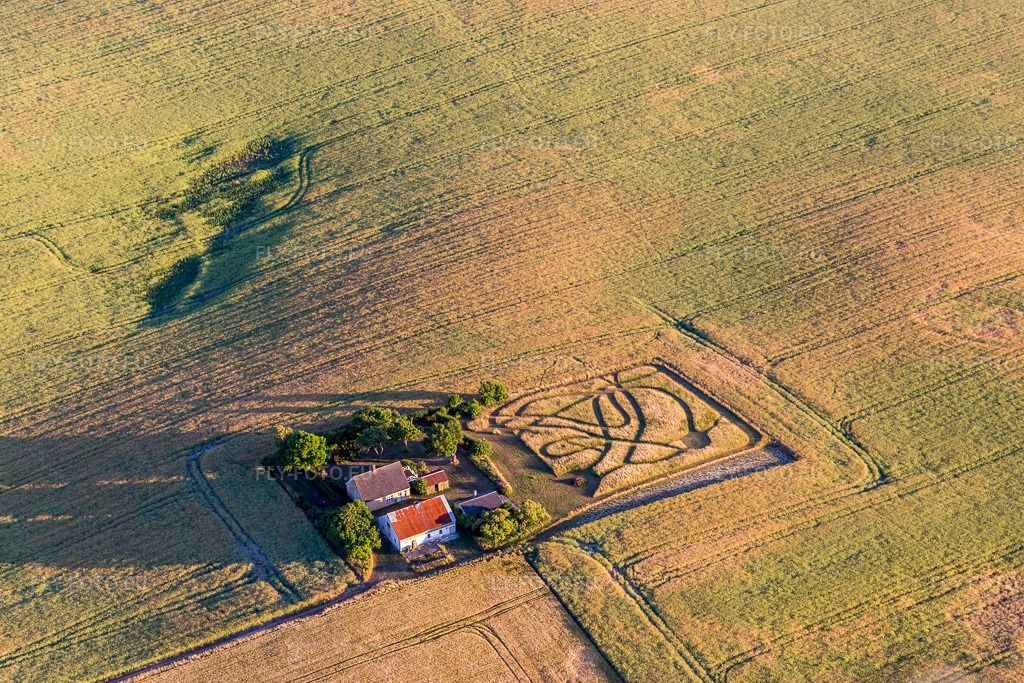 Vue aérienne: Ferme et dépendances entourées de champs de céréales à Borre dans le département Sjaelland, Danemark. Photo: IMG_108641.jpg prise le 04/07/2018 par Werner Riehm/FLY-FOTO.euRésolution de l'original: 5220 x 3480 px