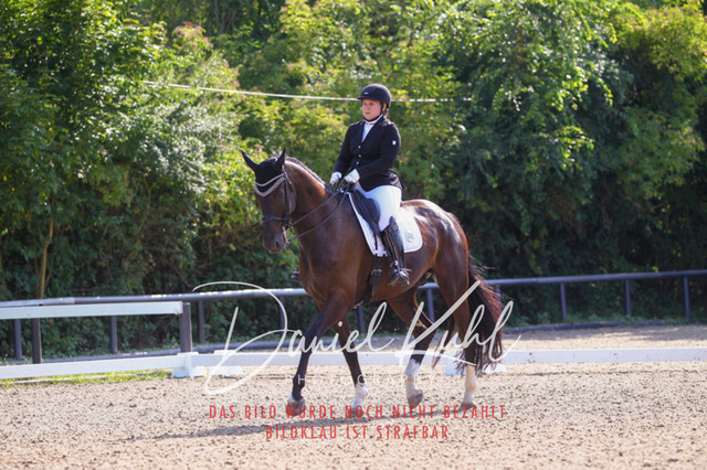 DKP41249 | Turniersportfotografie; Pferdefotografie; Dressurfotografie