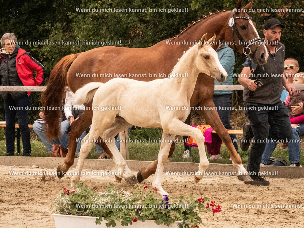 A10I1049 | photographylinaismer - Realisiert mit Pictrs.com