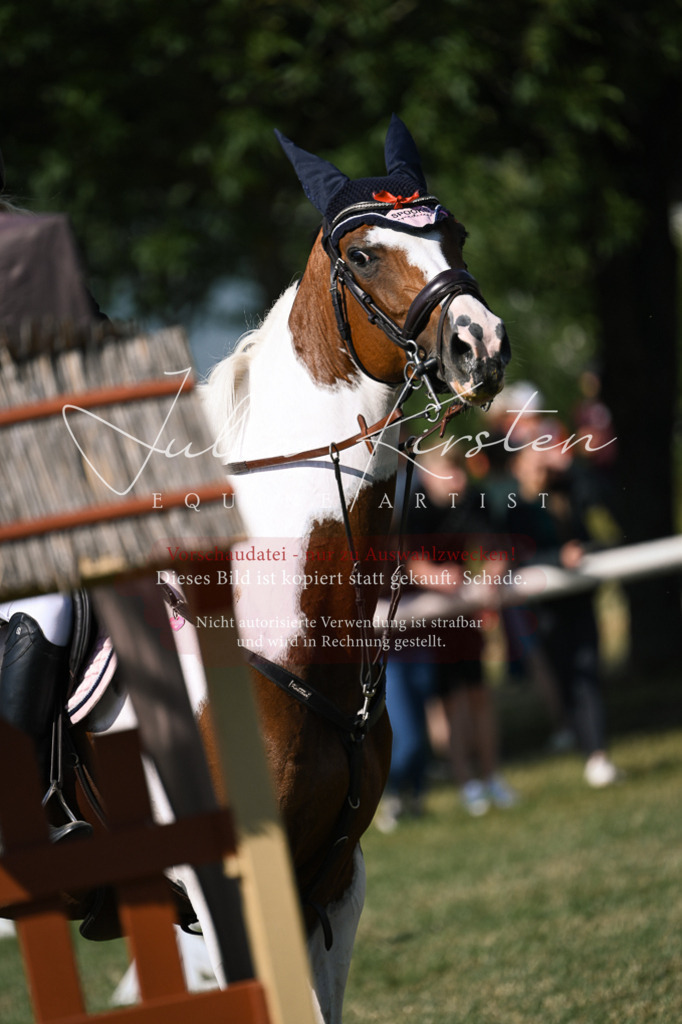 DSC_1099 | Pferde- und Turnierfotografie in Westsachsen. Pferdeportraits, Auftragszeichnungen und intuitive Kunst.