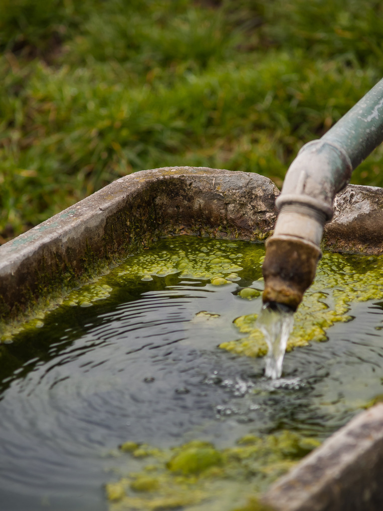 PSX_20230205_224029 | OLYMPUS DIGITAL CAMERA - Realisiert mit Pictrs.com