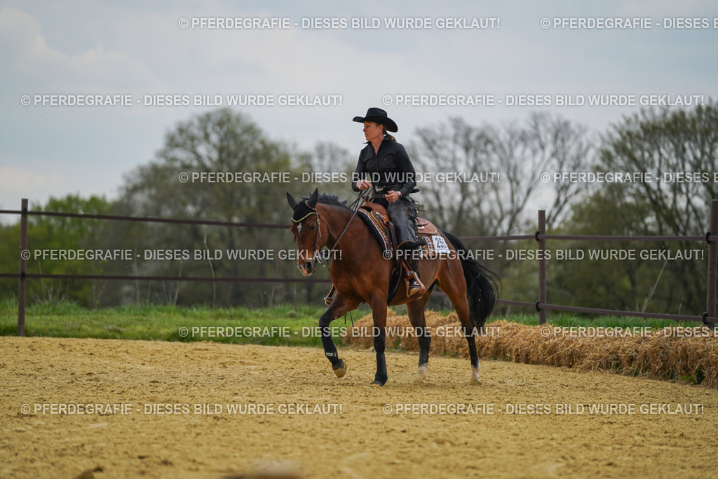 DSC07695 | Pferdegrafie