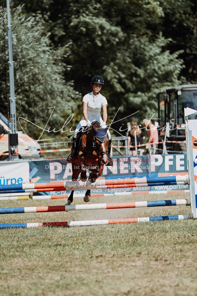 DSC_9882 | Pferde- und Turnierfotografie in Westsachsen. Pferdeportraits, Auftragszeichnungen und intuitive Kunst.