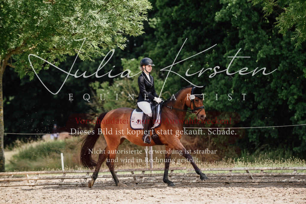 DSC_0944 | Pferde- und Turnierfotografie in Westsachsen. Pferdeportraits, Auftragszeichnungen und intuitive Kunst.