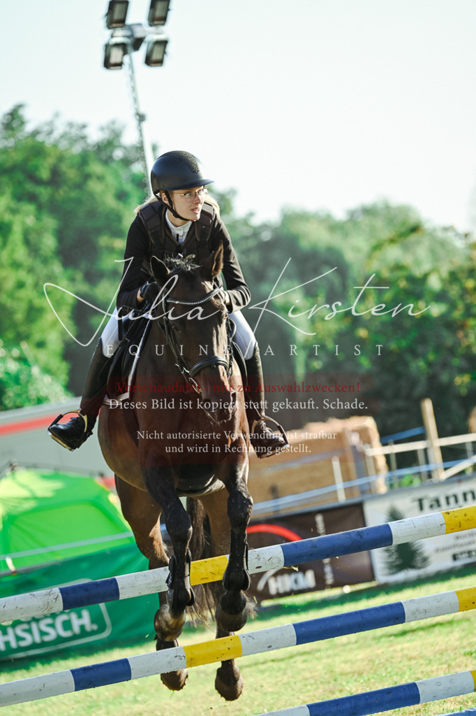 DSC_4217 | Pferde- und Turnierfotografie in Westsachsen. Pferdeportraits, Auftragszeichnungen und intuitive Kunst.
