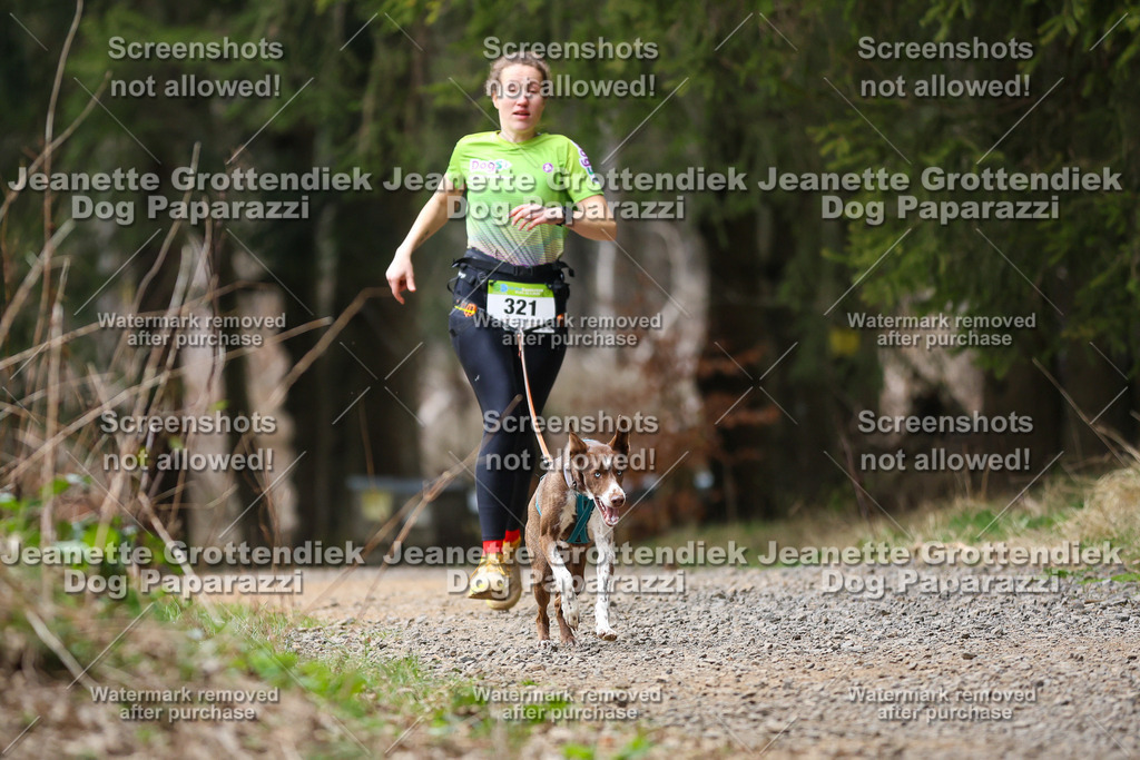 Dog Paparazzi - VCC26-443 | Dog Paparazzi Jeanette Grottendiek Fotografie & Videografie - Realisiert mit Pictrs.com